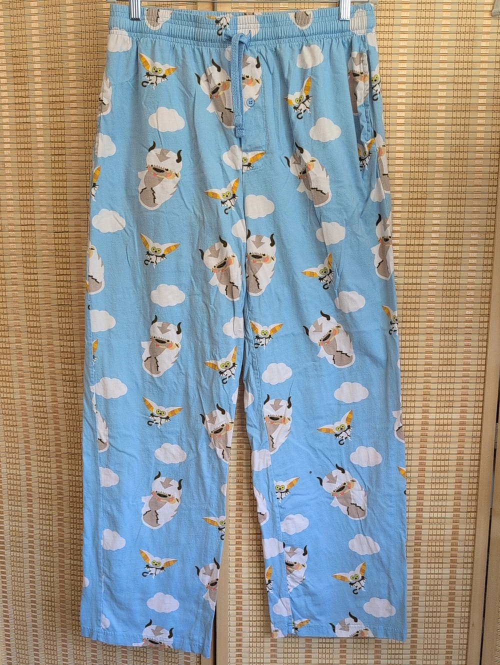 Nickelodeon Avatar Last Airbender Unisex XXL Blue Character Print Pajama Pants